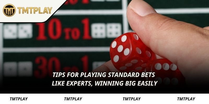 Tips for playing standard bets like experts, winning big easily
