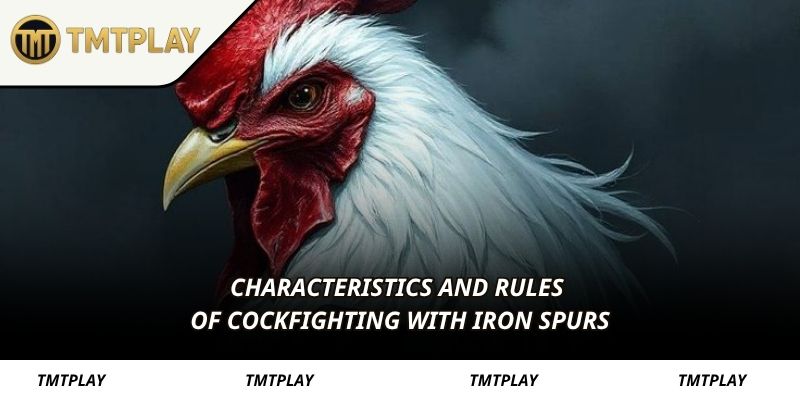 Characteristics and rules of cockfighting with iron spurs