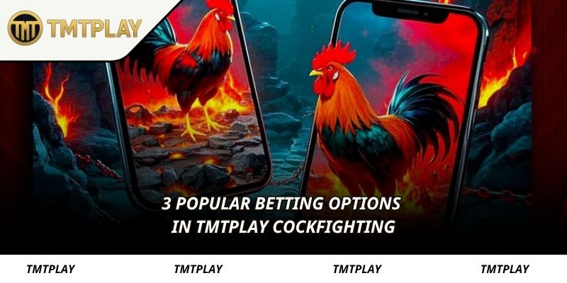 3 popular betting options in TMTPLAY cockfighting