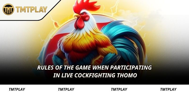 Rules of the game when participating in live cockfighting Thomo
