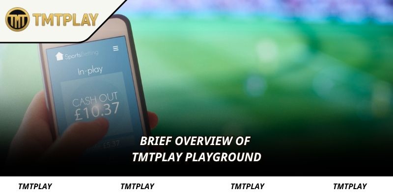 Brief overview of TMTPLAY playground