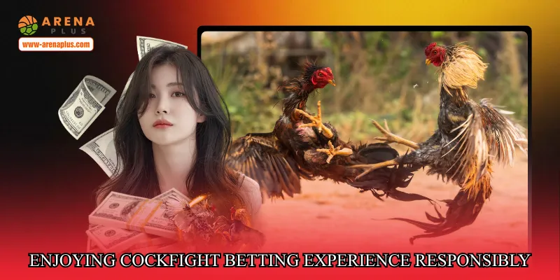 Enjoying Cockfight betting online experience responsibly